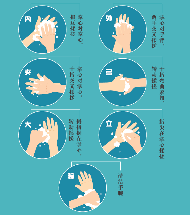 洗手七步法图片分解图片