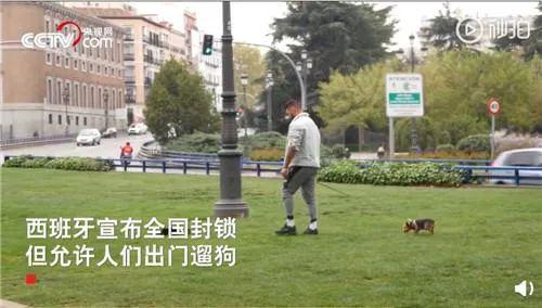 狗▲塞尔维亚奶奶在阳台遛狗,网友:幸亏她没住5楼