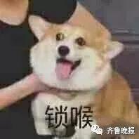 狗▲塞尔维亚奶奶在阳台遛狗,网友:幸亏她没住5楼