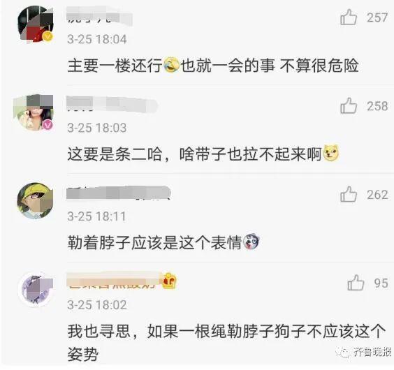 狗▲塞尔维亚奶奶在阳台遛狗,网友:幸亏她没住5楼
