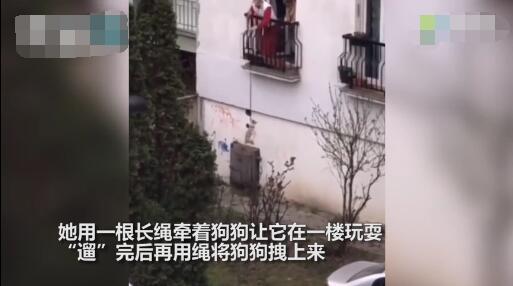狗▲塞尔维亚奶奶在阳台遛狗,网友:幸亏她没住5楼