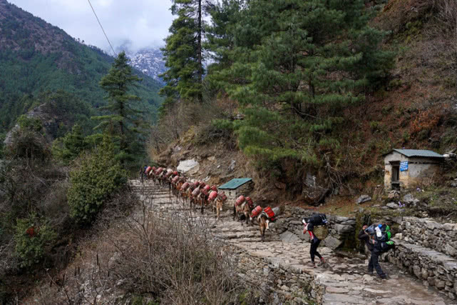 【喜马拉雅山】为防疫尼泊尔全国封锁，数百登山者被困喜马拉雅山