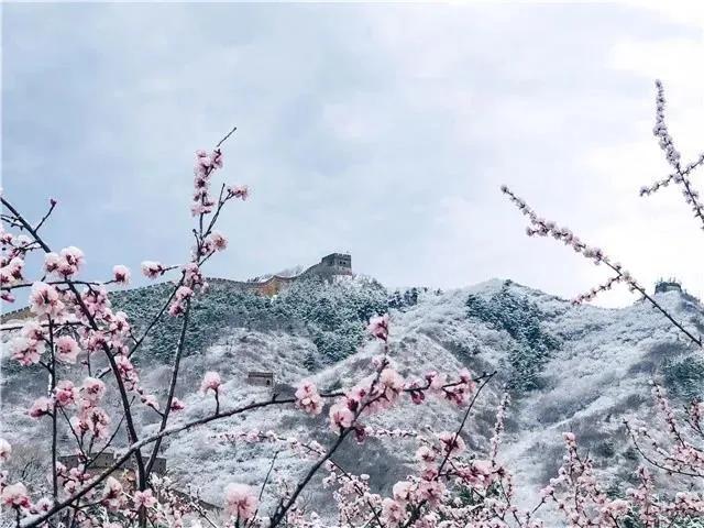 #八达岭长城#八达岭长城恢复开放首日就被刻字,太刺眼