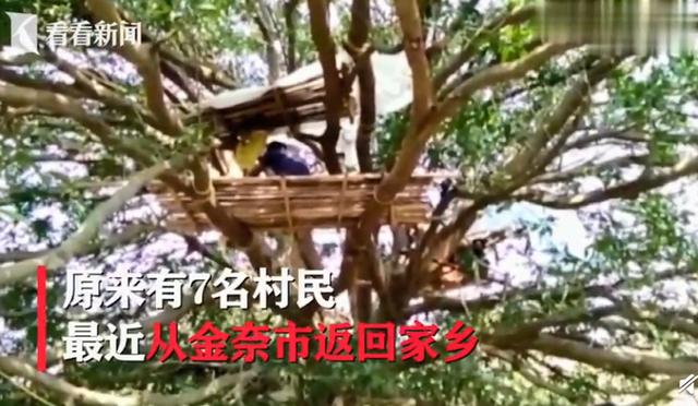 「」印度“封城”21天，村民回村房间不够 树上进行隔离