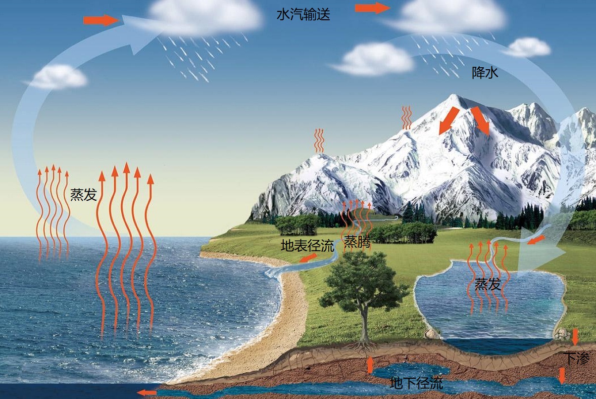 如果地表植被遭到破坏对于地表径流会产生怎样的影响