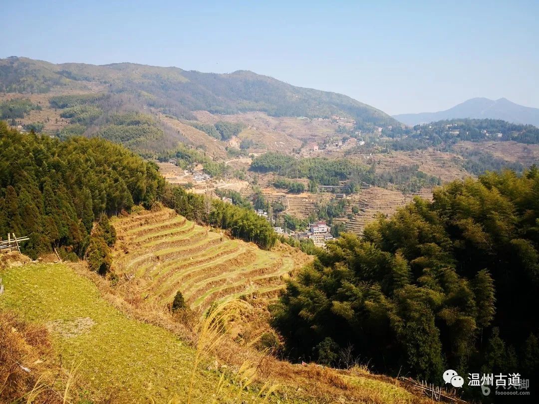 温州瑞安黄金坳古村蒙东岭古道环线穿越风景如画