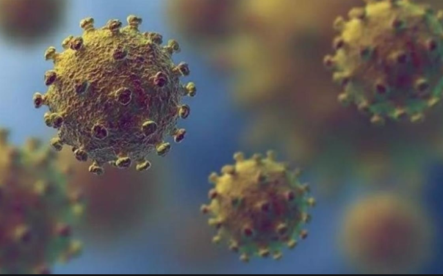 『居酒屋』日本一女店员发烧后仍去闹市区饭店上班，最终确诊