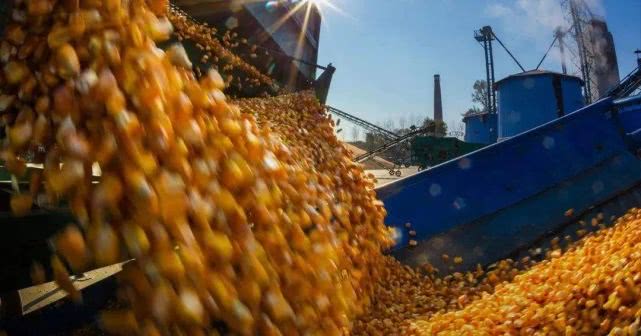 『联合国』联合国发出警告!