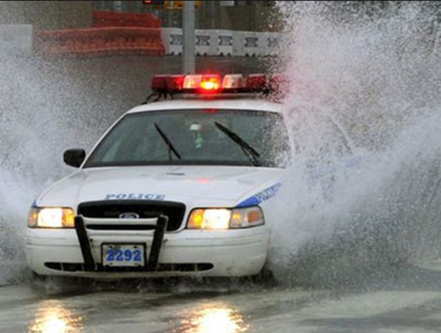 「美国警察」美国警察追捕逼停超速肇事车辆后，发现驾驶座上竟是条狗