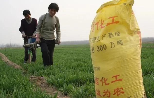 『疫情』疫情导致多国禁止粮食出口，中国人的餐桌还安全吗？