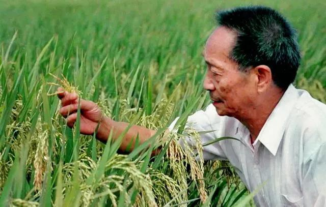 『疫情』疫情导致多国禁止粮食出口，中国人的餐桌还安全吗？