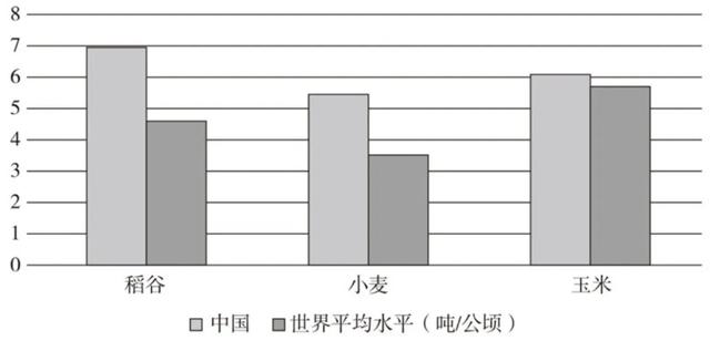 『疫情』疫情导致多国禁止粮食出口，中国人的餐桌还安全吗？