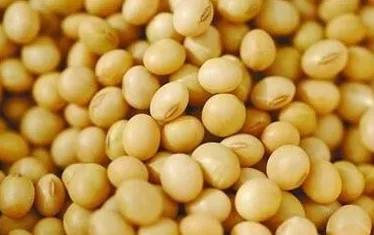 『疫情』疫情导致多国禁止粮食出口，中国人的餐桌还安全吗？