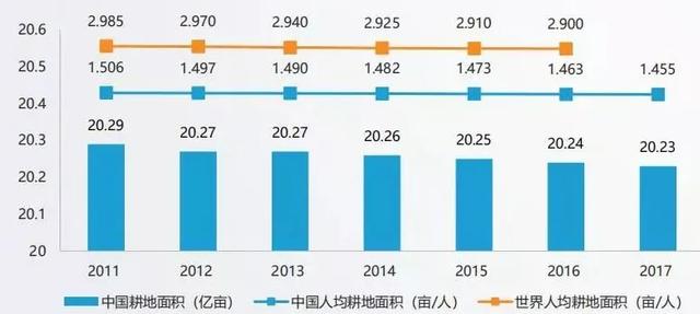 『疫情』疫情导致多国禁止粮食出口，中国人的餐桌还安全吗？