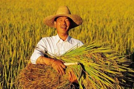 『疫情』疫情导致多国禁止粮食出口，中国人的餐桌还安全吗？