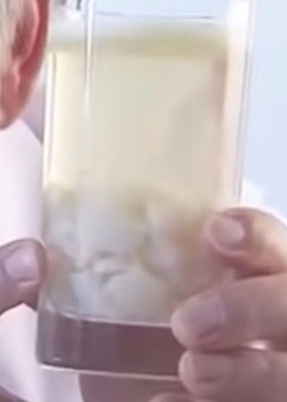 棉花糖：一头猪到一包棉花糖，中间到底发生了什么？