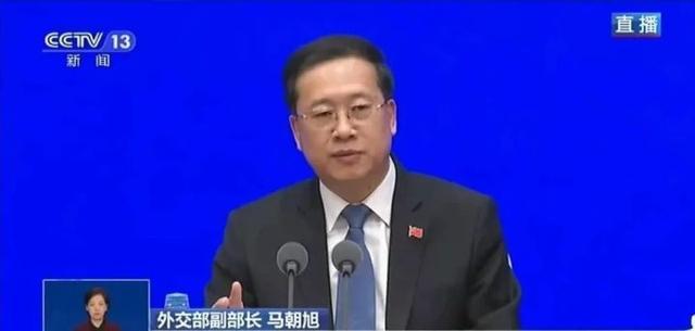 『口罩』细理游子绪，菰米似故乡！多地中国留学生晒健康包