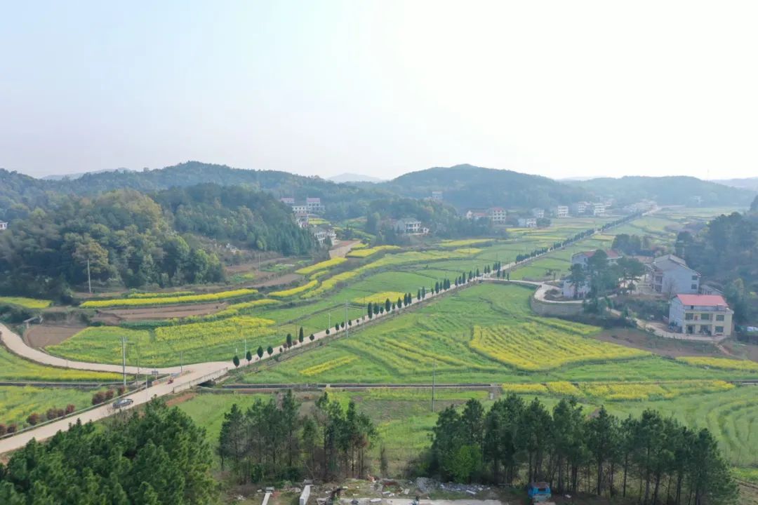 组图娄星区东冲村扶贫干部真心真情真扶贫