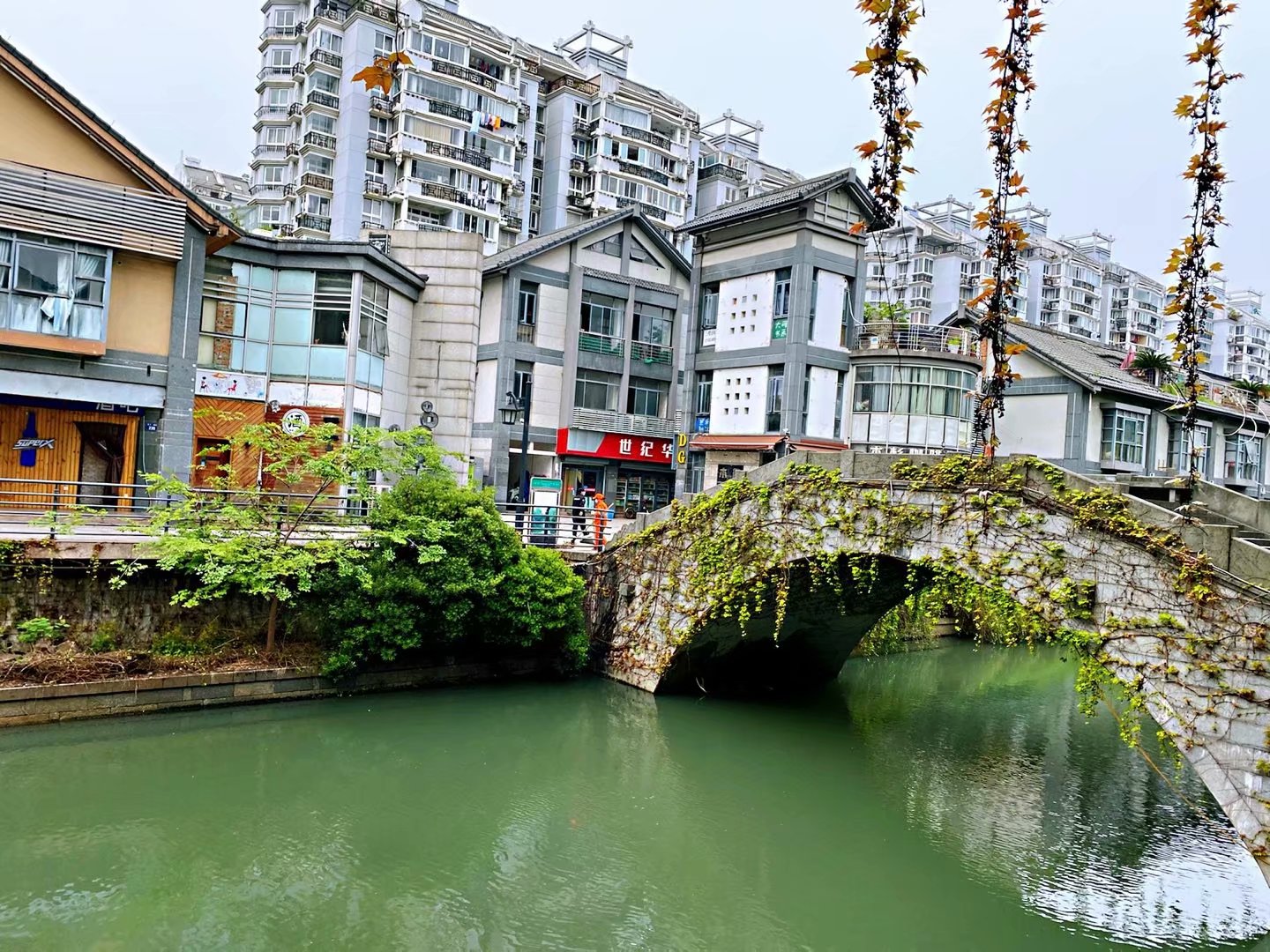 游记踏春出游去杭州信义坊看樱花王