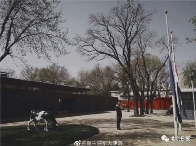 「国际」今天，多国驻华使馆为中国下半旗