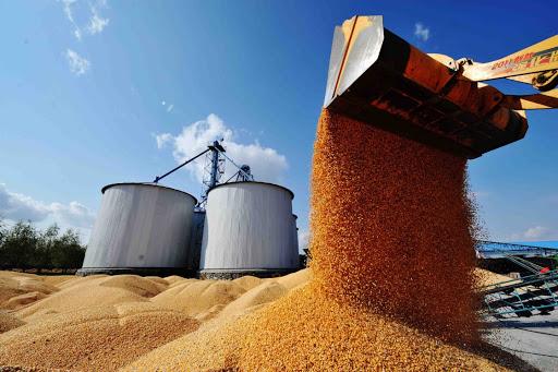 三农▲粮食会短缺吗？粮价会上涨吗？权威回应来了！