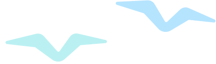 『海关』海港国境卫生检疫话你知