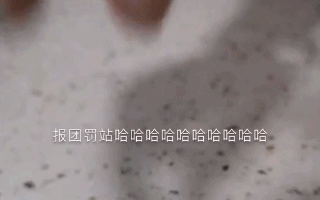 #科学#教你在宫斗剧中科学的“阴阳怪气”|正经玩