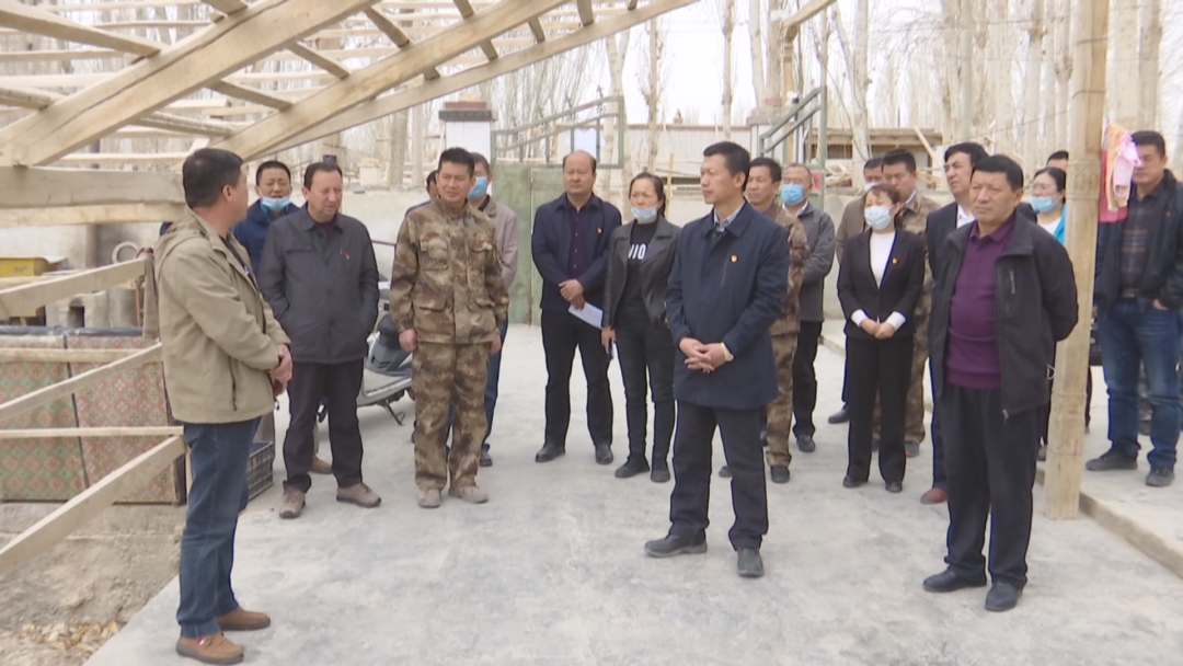 且末县四大班子领导深入英吾斯塘乡观摩庭院整治