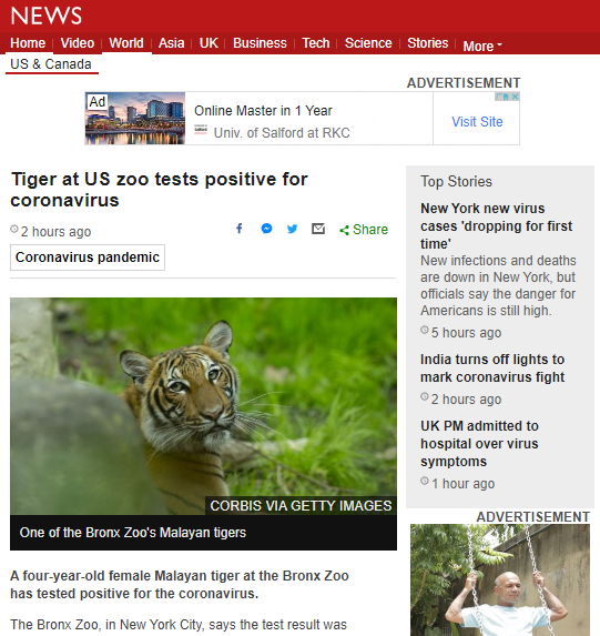 老虎：全球首例！美国动物园一老虎“中招”，病毒检测呈阳性