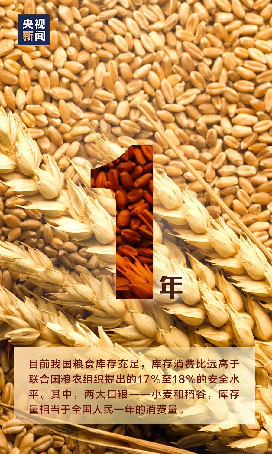 #大数据#需不需要“囤粮”?看完这组数据,心里就有底了