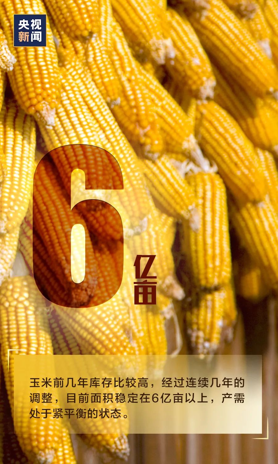 #大数据#需不需要“囤粮”?看完这组数据,心里就有底了