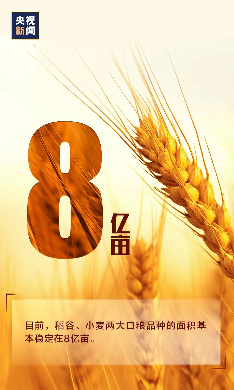 #大数据#需不需要“囤粮”?看完这组数据,心里就有底了