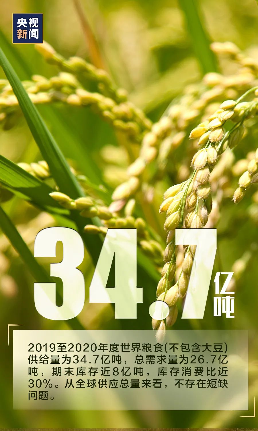 #大数据#需不需要“囤粮”?看完这组数据,心里就有底了