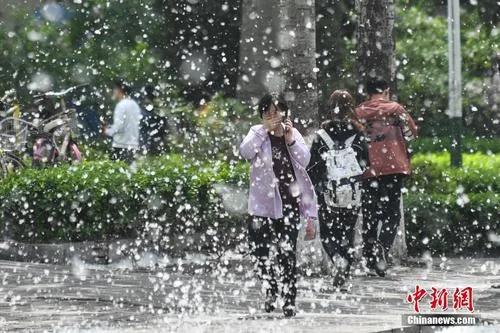 柳絮:杨柳絮中会存在新冠肺炎病毒吗?专家回应