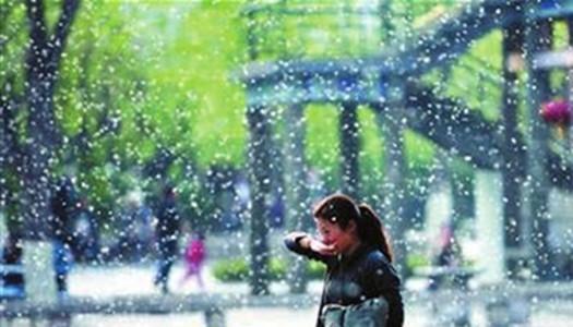 「柳絮」无证据证明杨柳絮中存在新冠病毒，飞絮季防护这么做