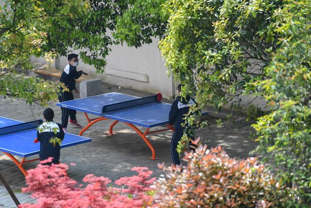 「新媒体」久违的校园，你好