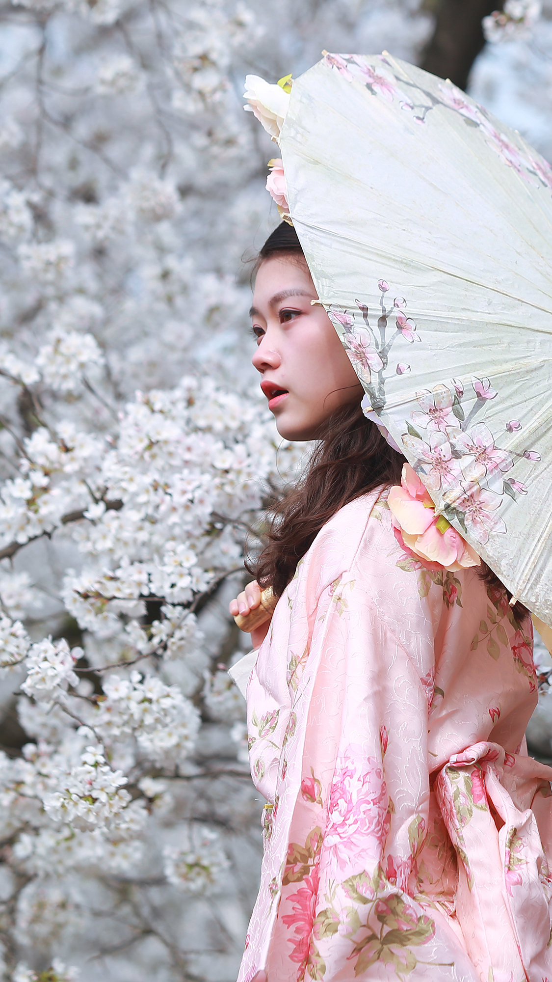 樱花少女古装那是一道多么美丽的风景线呢