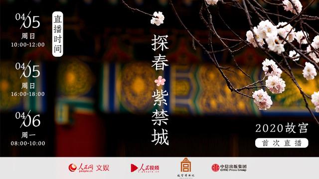 博物馆@故宫博物院院长王旭东：未来会开展更多直播 或将呈现非开放区