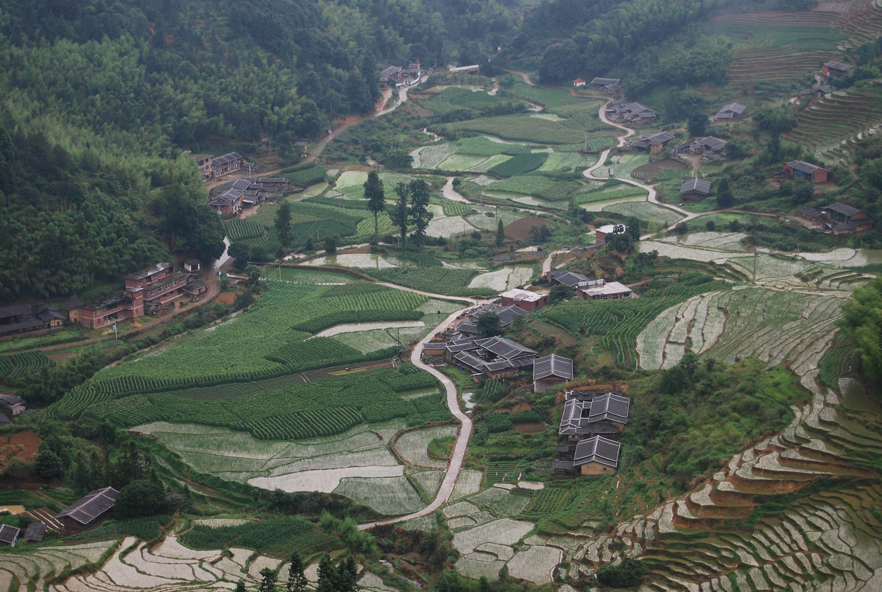 历史文化名村东坂村