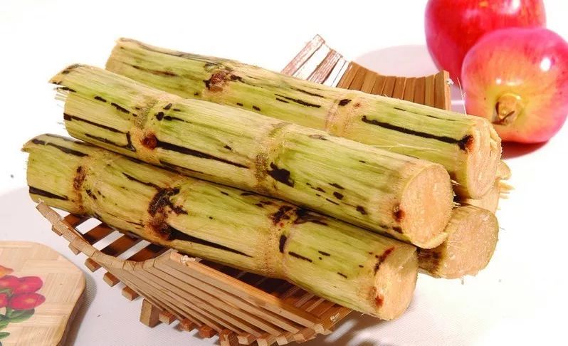 清明节▲清明节的甘蔗比毒蛇还毒？正确答案是这样的……