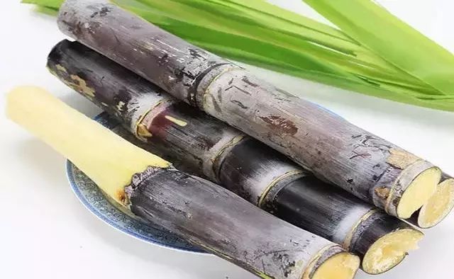 清明节▲清明节的甘蔗比毒蛇还毒？正确答案是这样的……