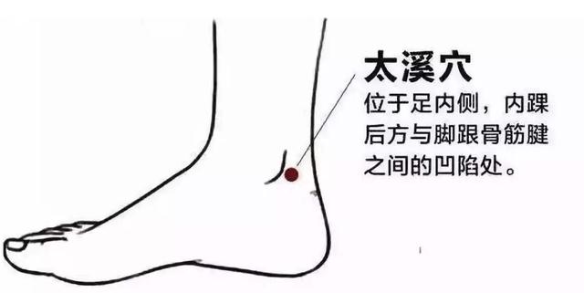 太溪穴:可温肾助阳,补肾气,对肾炎,膀胱炎,遗尿等问题起到很好的缓解