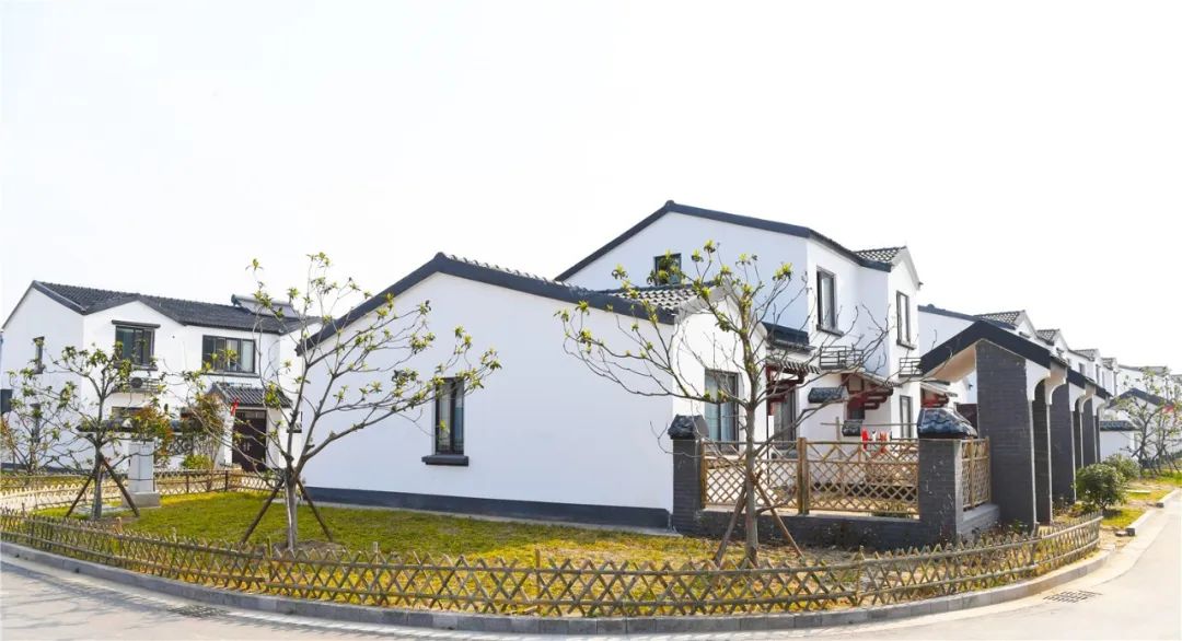 美丽乡村成集镇条河社区全景绽放