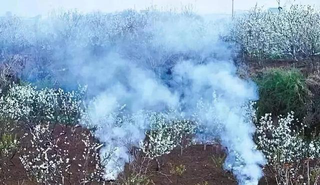 冷空气▲降温+降雨+大风！冷空气来袭，这些地区果农重点防