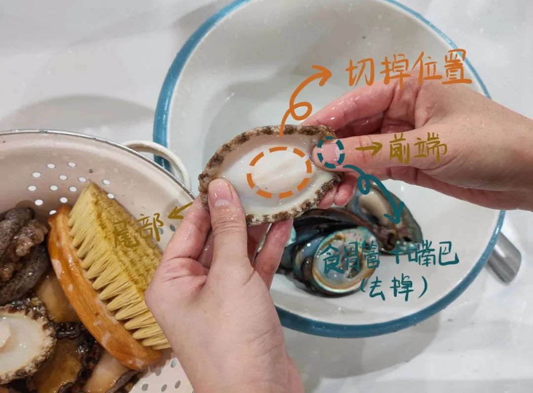 『海鲜』粤菜里的战斗鸡，酱香的鲍鱼鸡煲