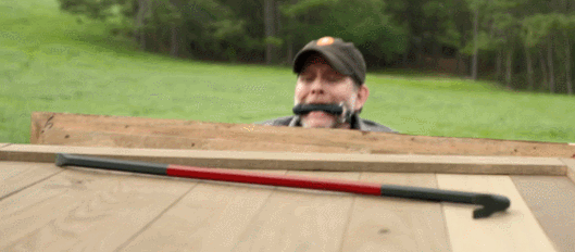 『精英阶层』川普“破口大骂”的19禁，扯下了美国精英的底裤