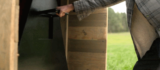 『精英阶层』川普“破口大骂”的19禁，扯下了美国精英的底裤