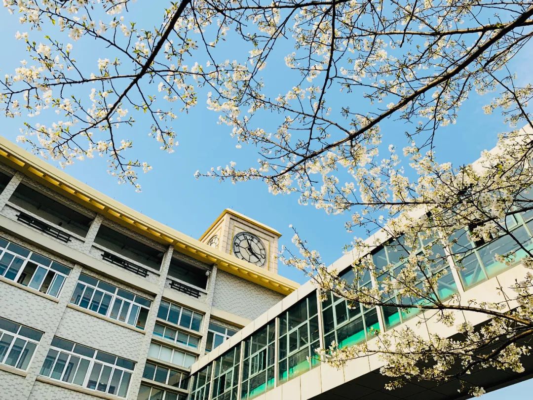 疫情■一封给中考生的信:愿你历经挫折与磨砺,仍有不言弃的少年意气!附语数外备考攻略|特别关注