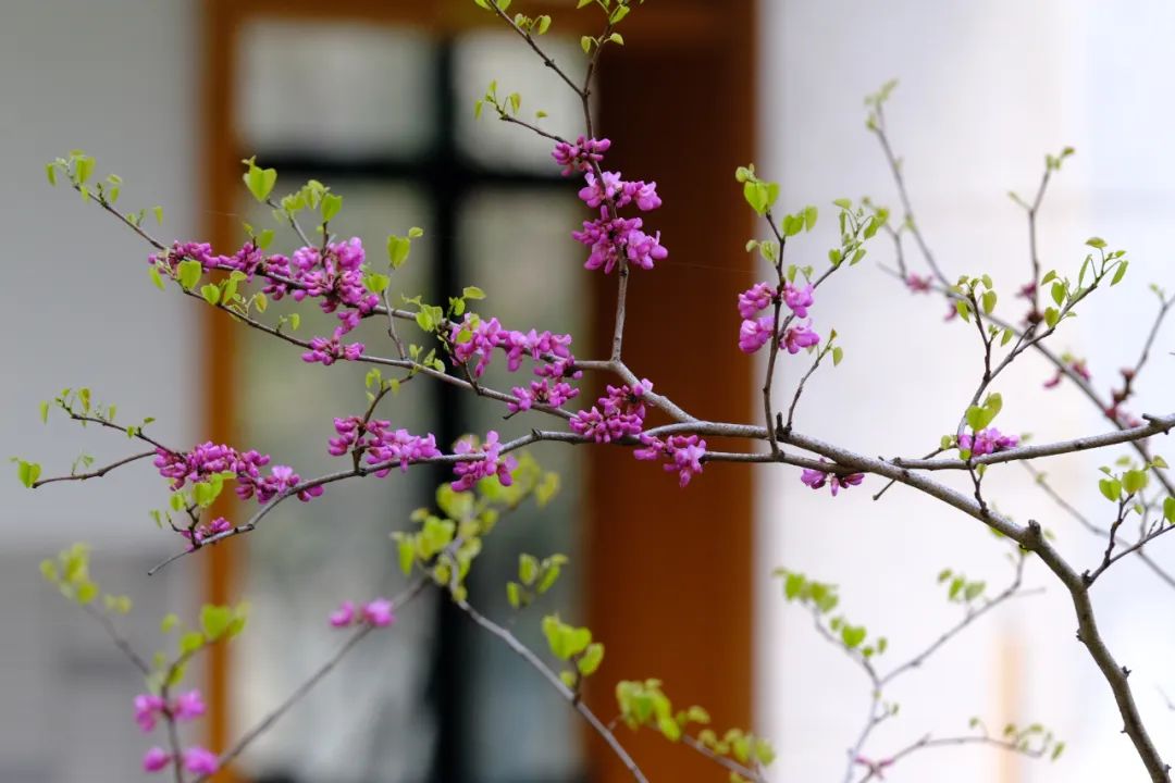 疫情■一封给中考生的信:愿你历经挫折与磨砺,仍有不言弃的少年意气!附语数外备考攻略|特别关注