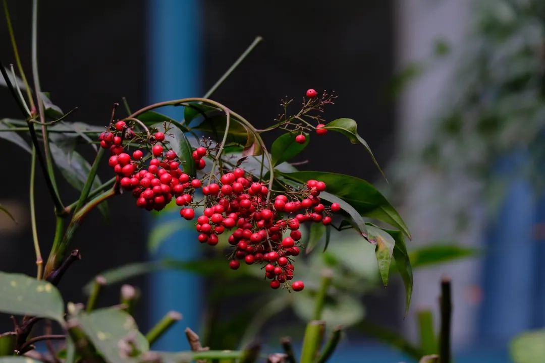 疫情■一封给中考生的信:愿你历经挫折与磨砺,仍有不言弃的少年意气!附语数外备考攻略|特别关注